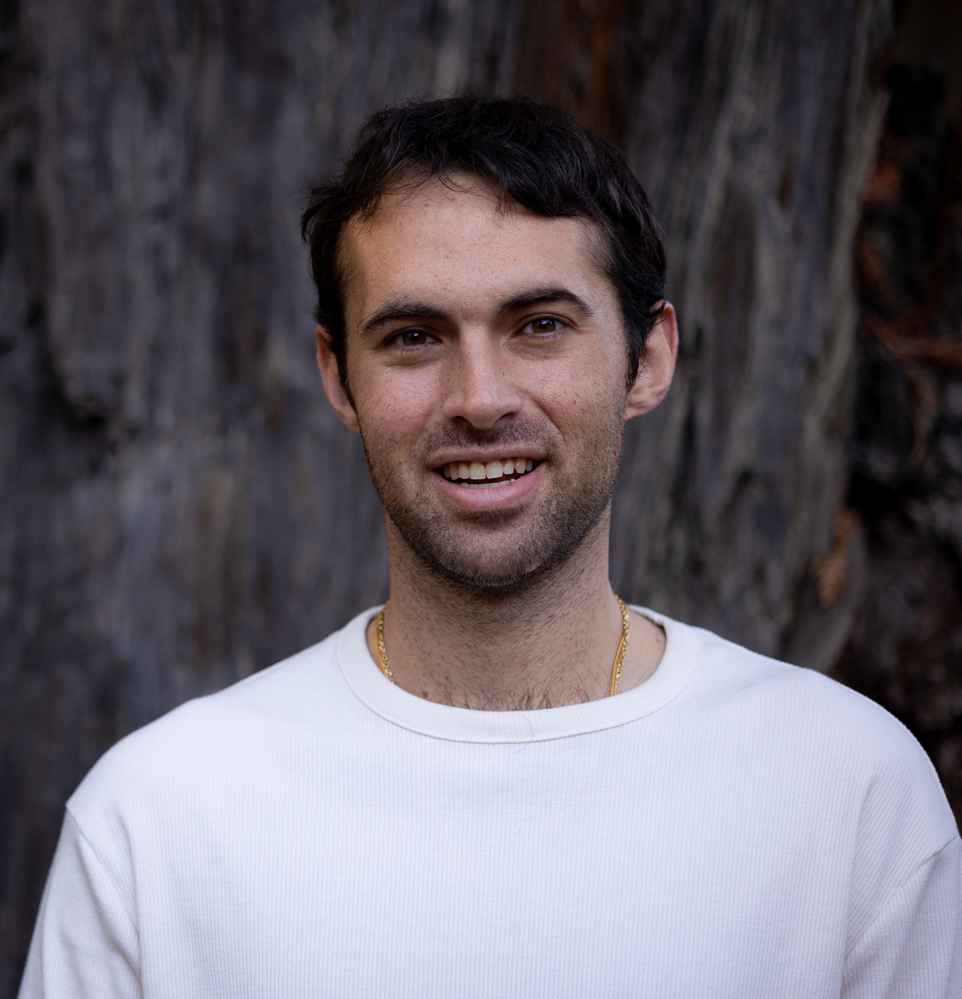 David Freed